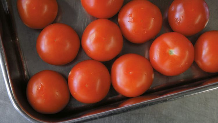 Tomaten in Edelstahlbehälter